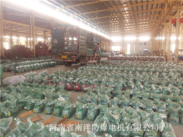 南洋防爆对成品电机进行发货
